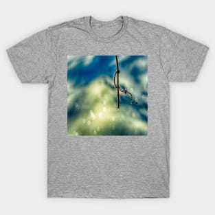 Frozen in time T-Shirt